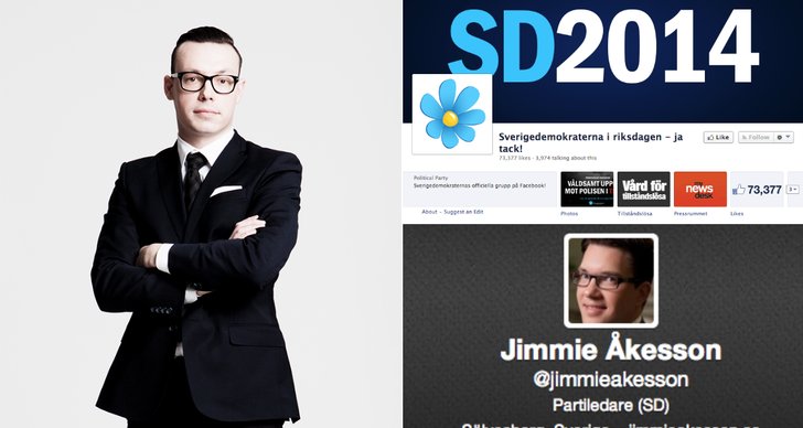 Sverigedemokraterna, Facebook, Joakim Wallerstein, Valrörelsen, Sociala Medier